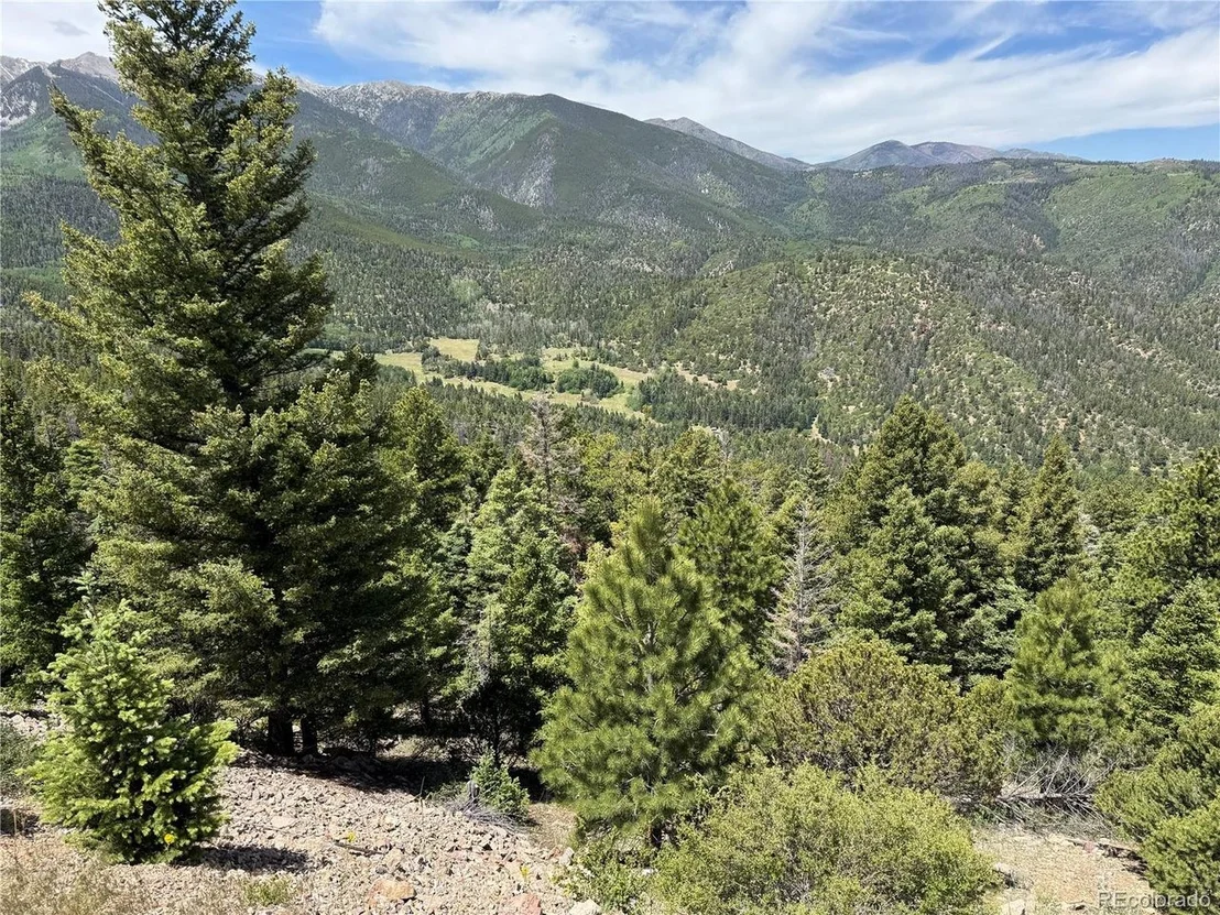 Photo of Knotty Pine Rd