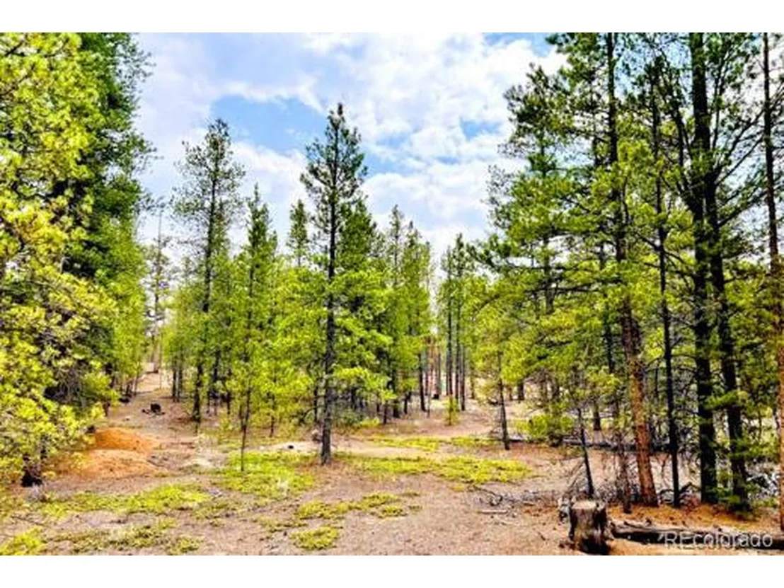 Photo of 275 Mt Elbert Dr