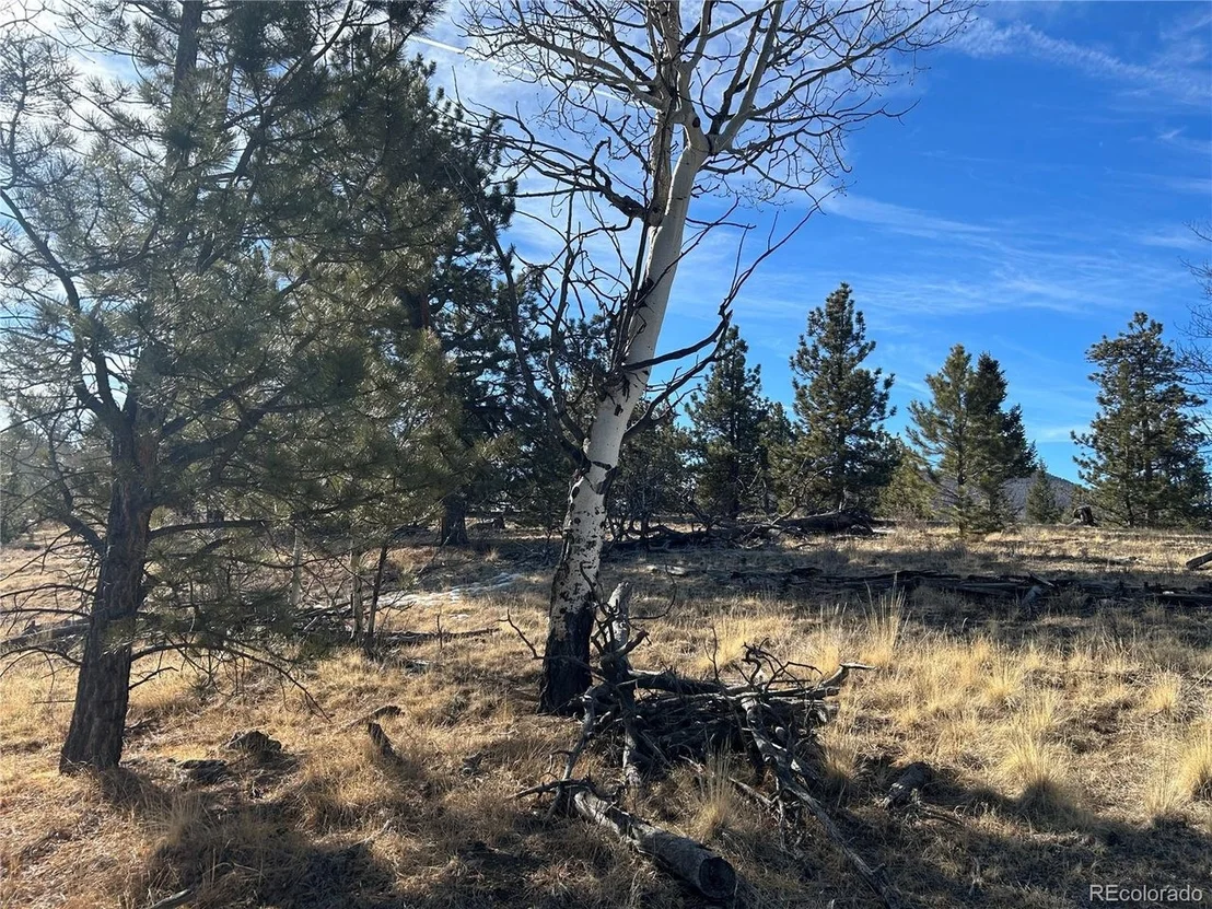 Photo of 3430 Singletree Rd