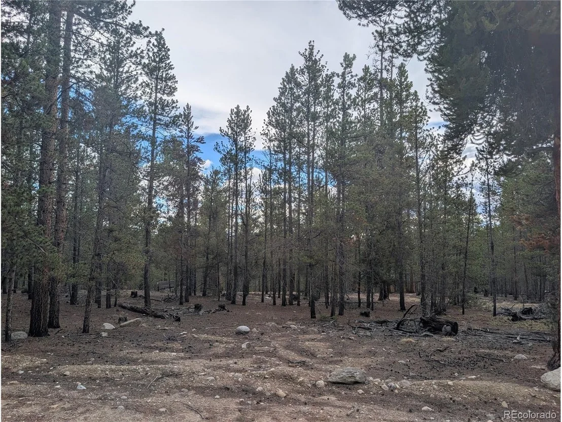 Photo of 663 Spruce Dr