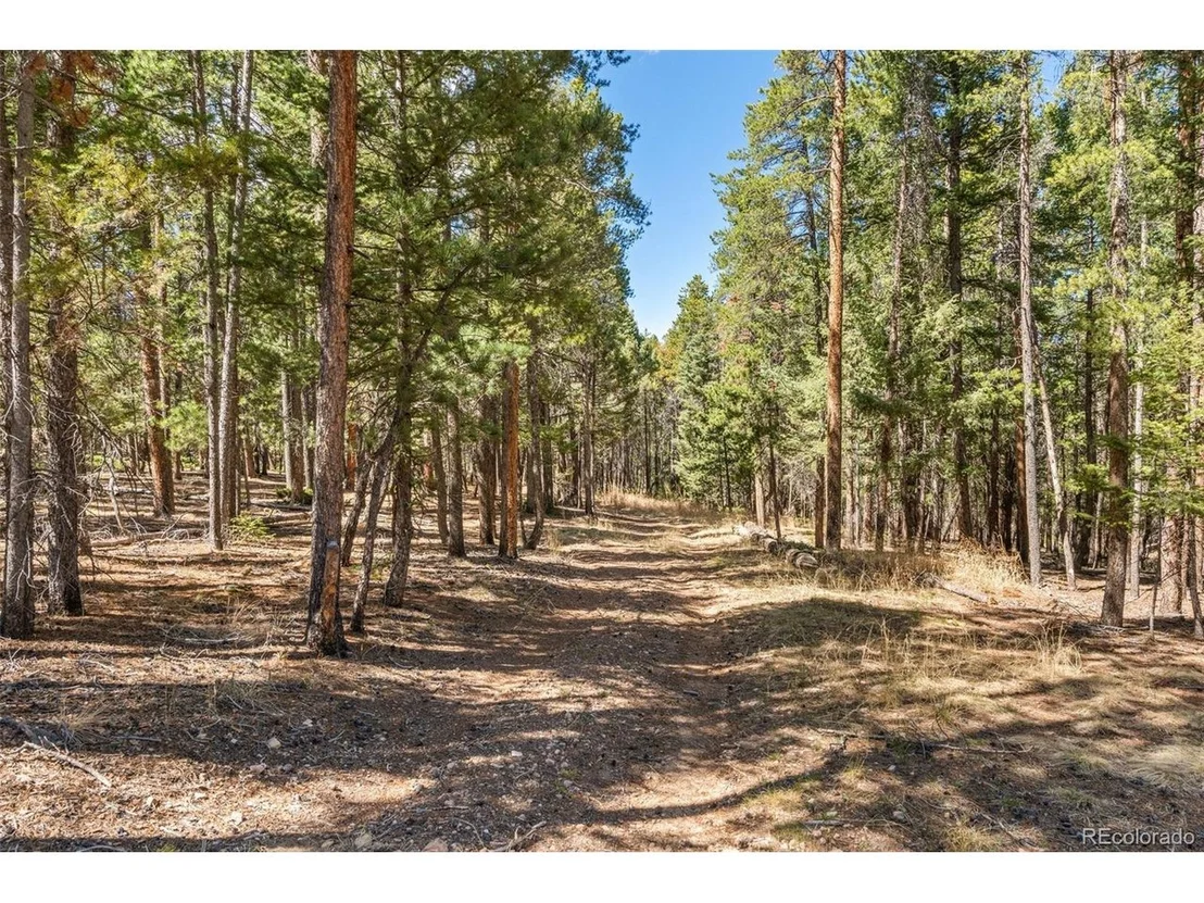 Photo of 23550 Pleasant Park Rd
