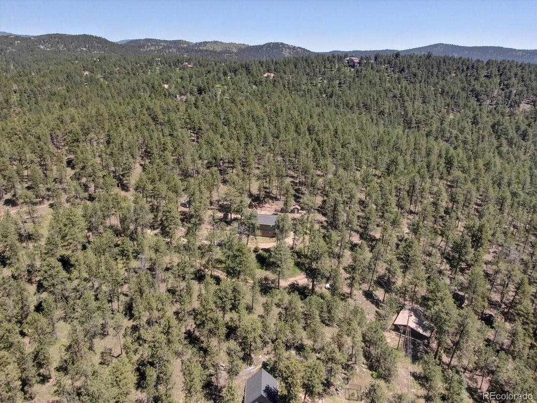 Photo of 29577 Larkspur