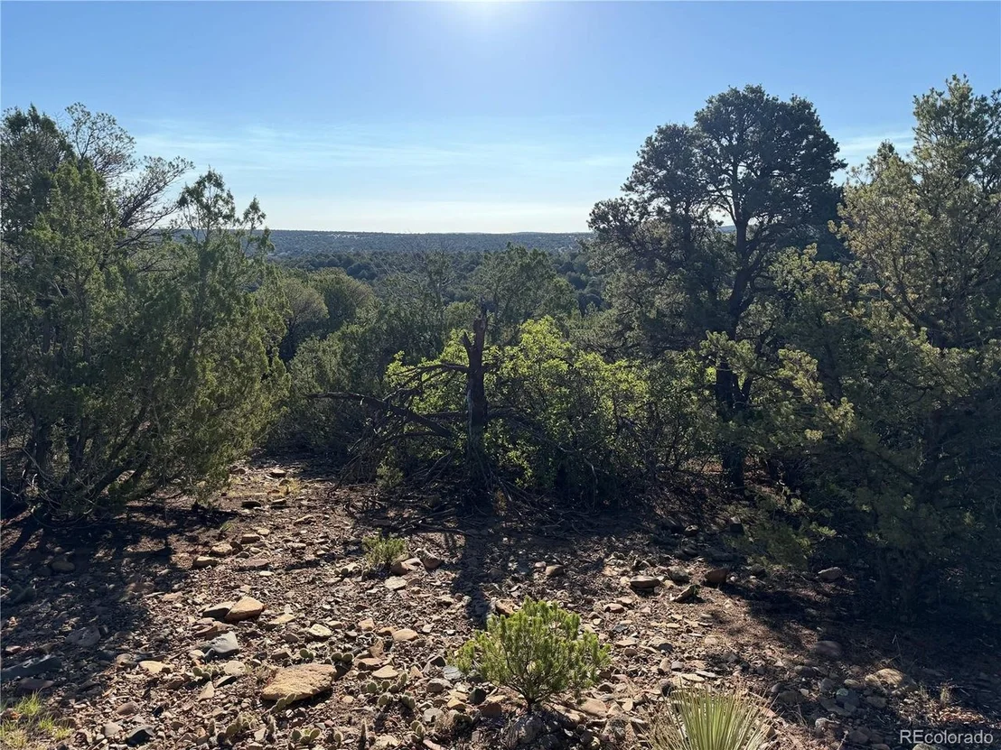 Photo of 141 River Ridge Ranch