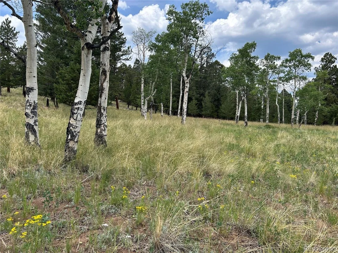 Photo of 2130 Pitchfork Rd