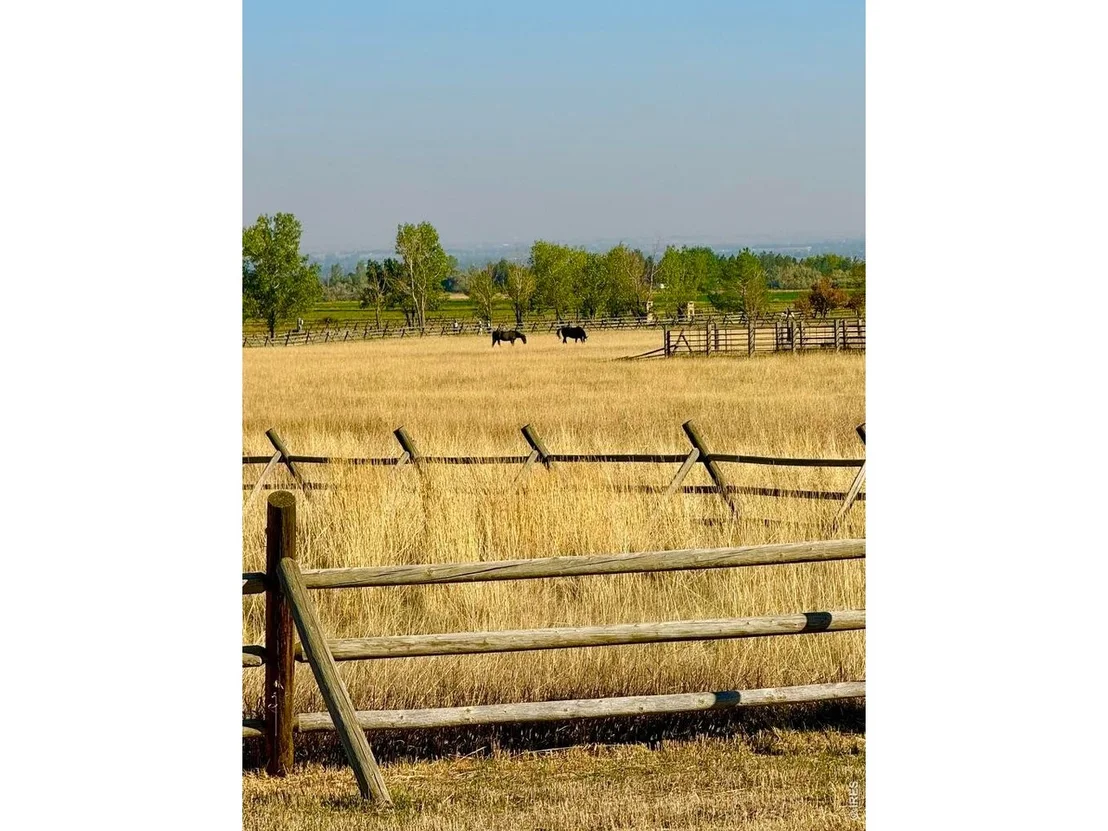 Photo of 11534 Eagle Springs Trl