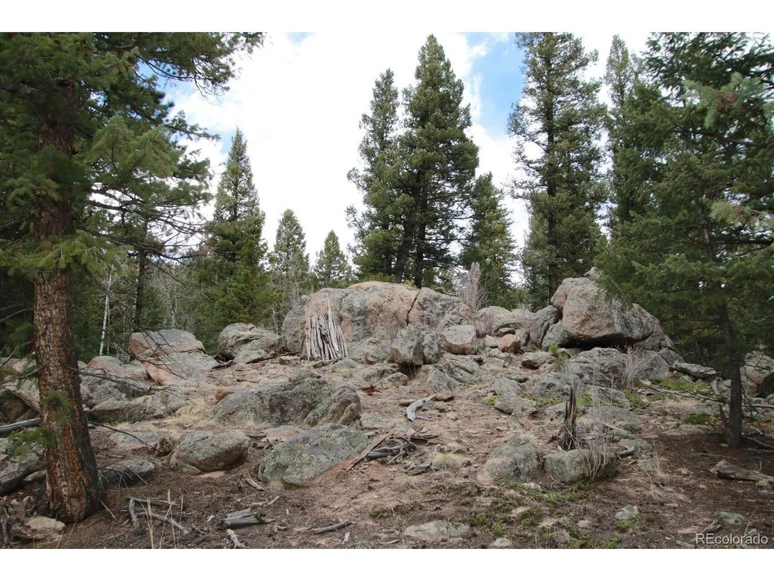 Photo of 449 Forest Dr