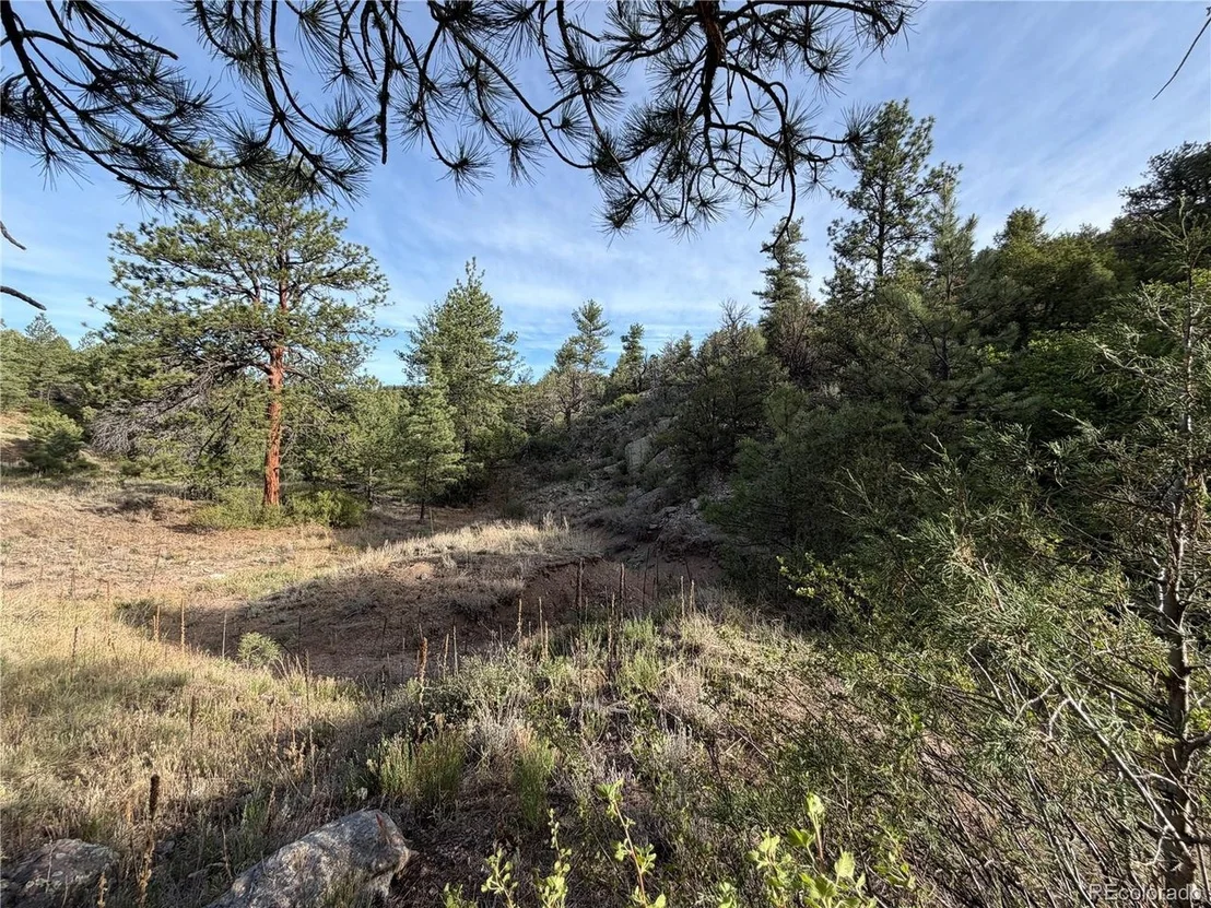 Photo of 594 Maurice Dr
