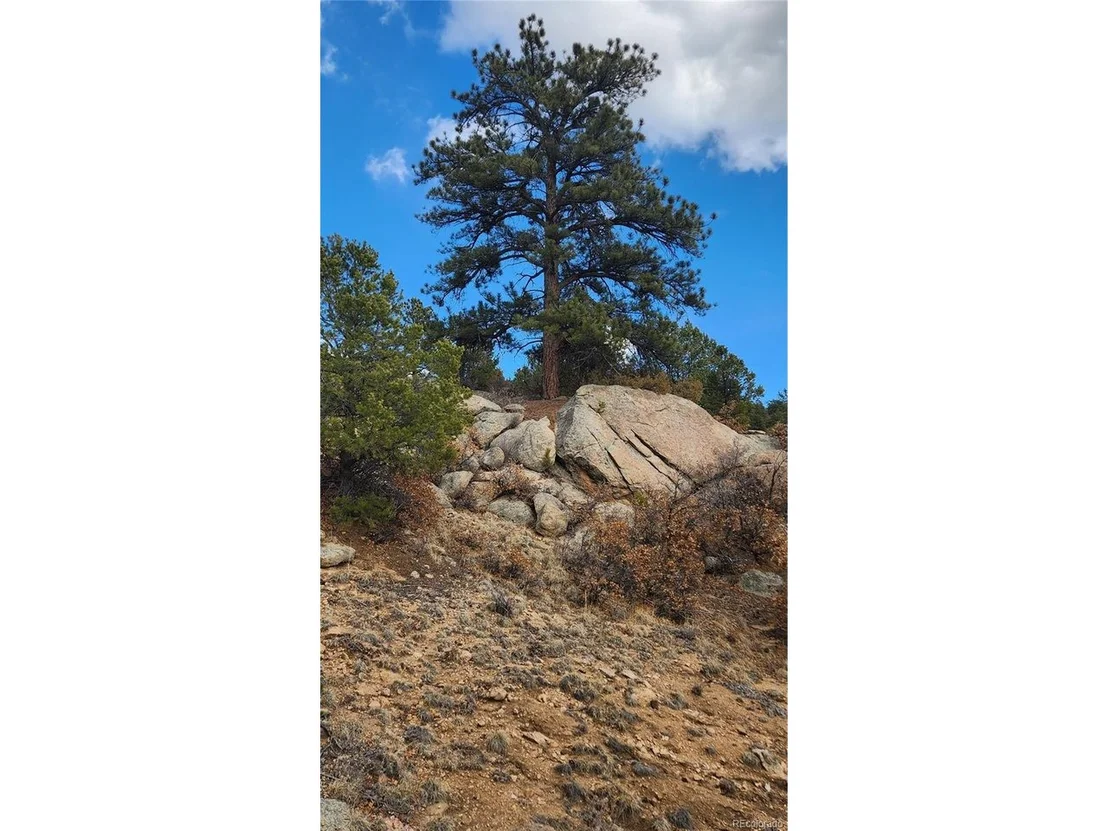Photo of 47 White Cloud Dr