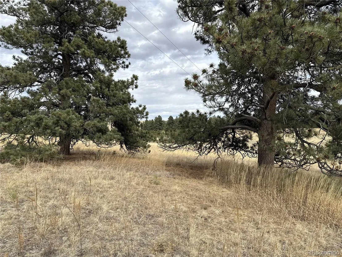 Photo of 39080 County Road 21