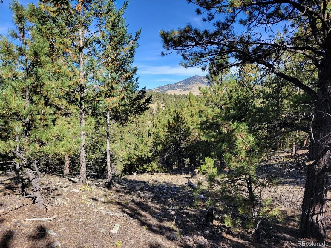 Photo of 1321 Bristlecone Rd