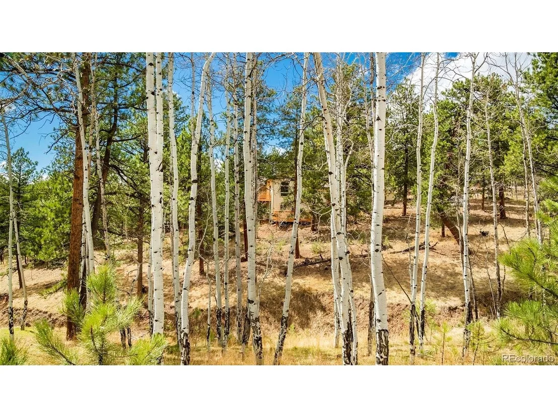 Photo of 11744 S Stallion Dr