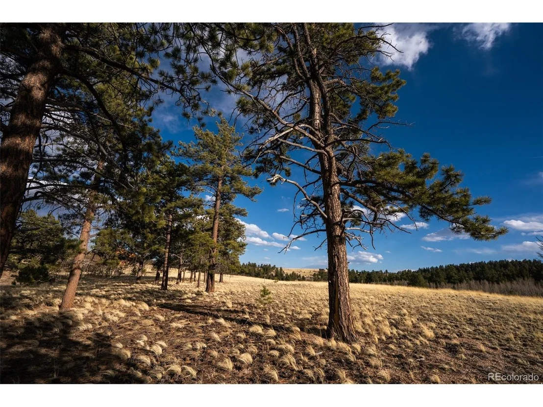 Photo of 9674 Ranch Rd