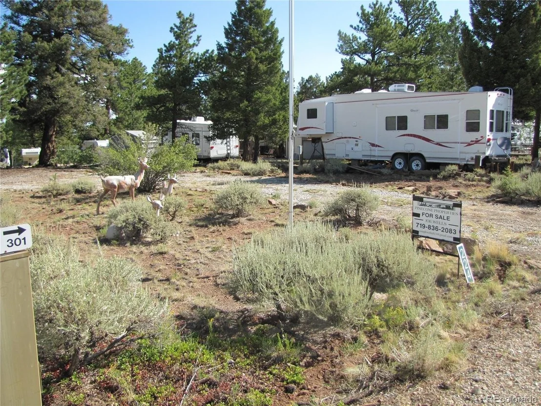 Photo of 224 Lantern Loop
