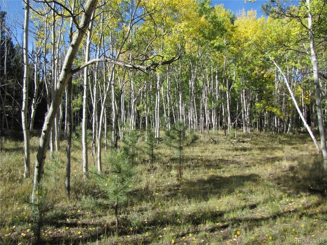 Photo of 700 Campfire Rd