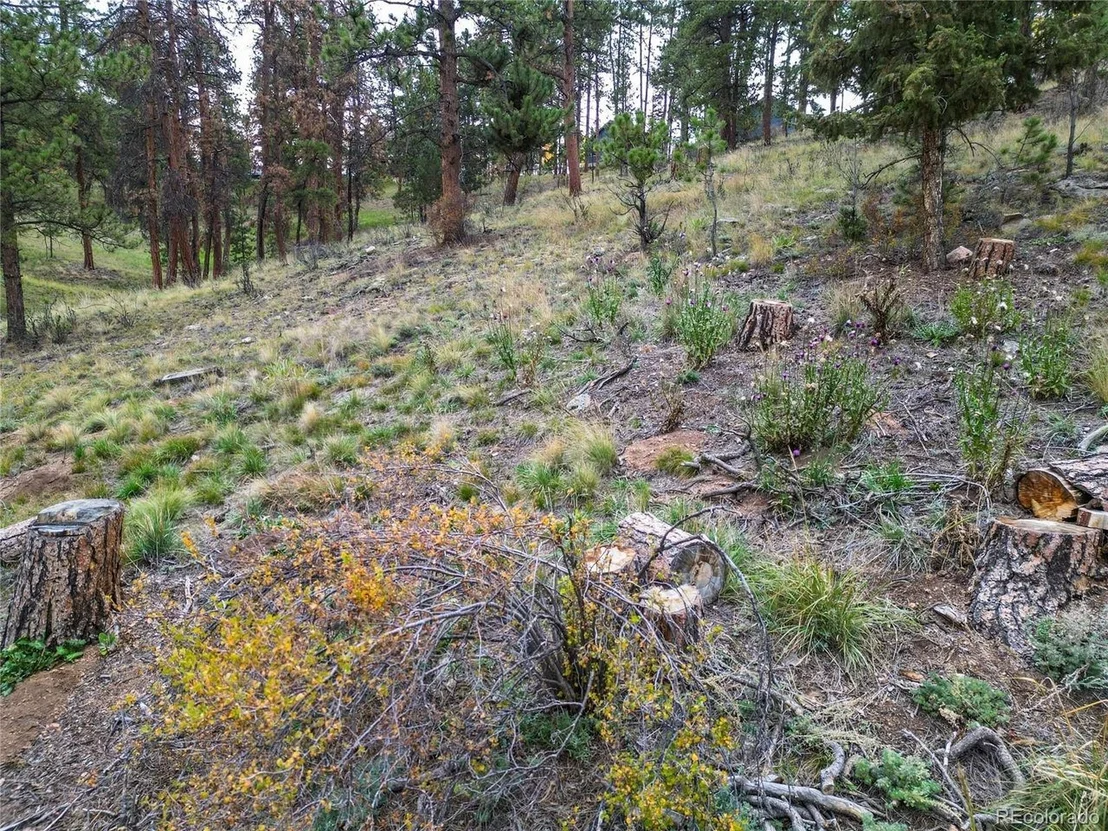 Photo of 33247 Jennifer Rd