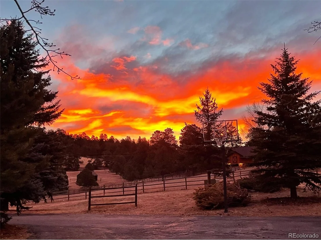 Photo of 32623 Deep Forest Rd