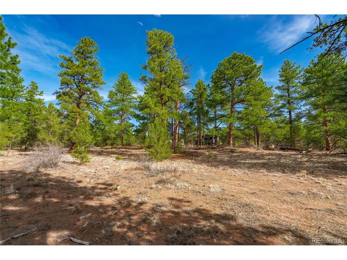 Photo of 870 Oak Dr