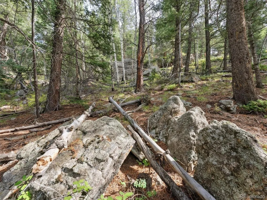 Photo of 0 Snyder Mountain Rd