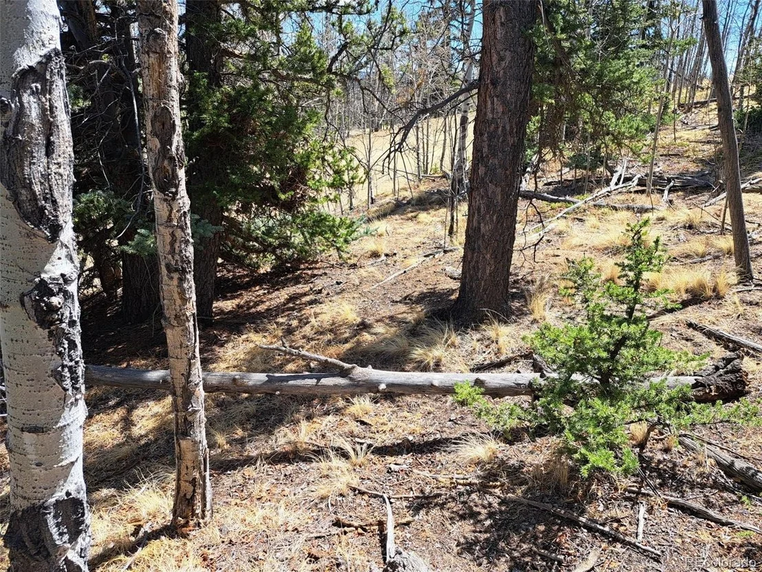 Photo of 730 Tepee Trl