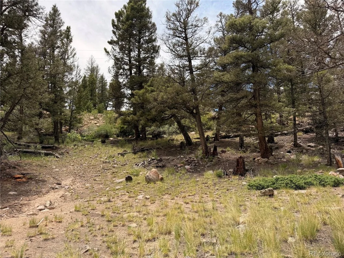 Photo of 1348 Middle Fork Vis