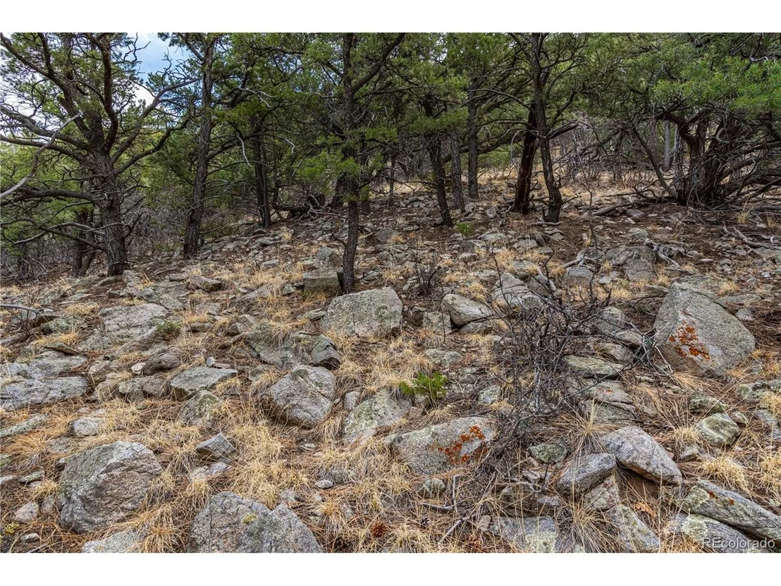 Photo of 2126 E Path
