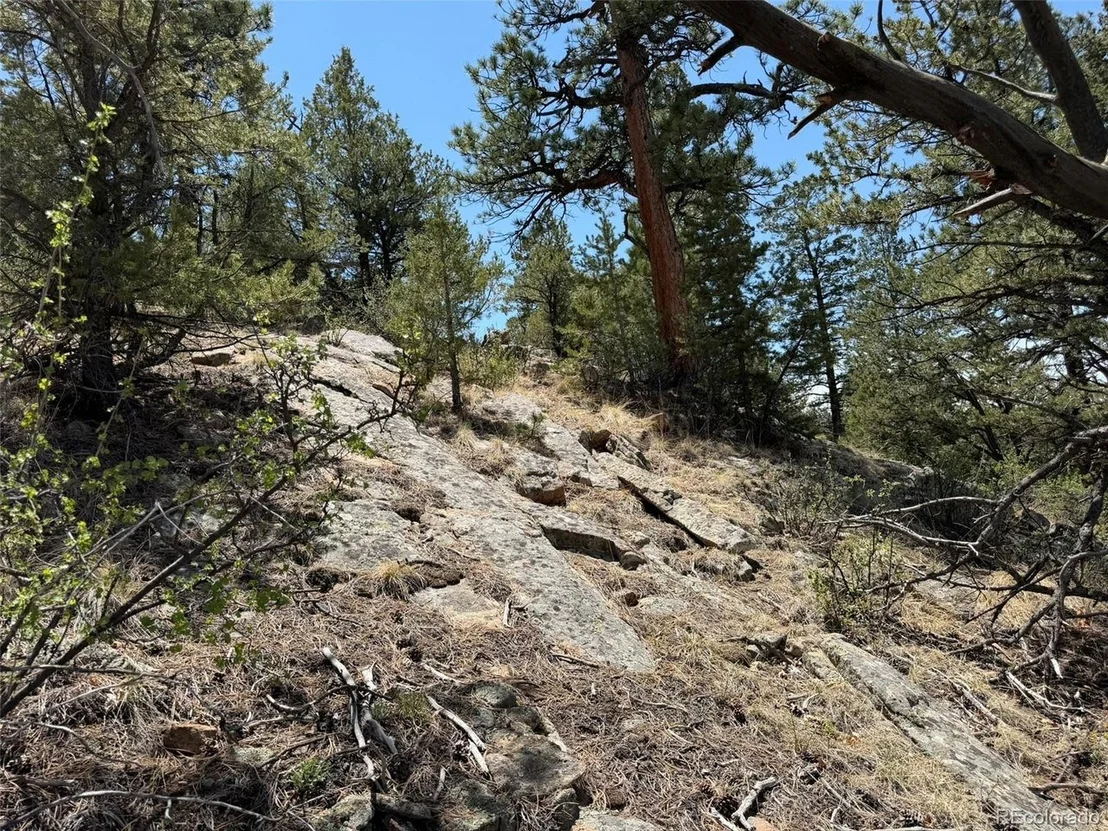 Photo of 477 Bear Peak Rd