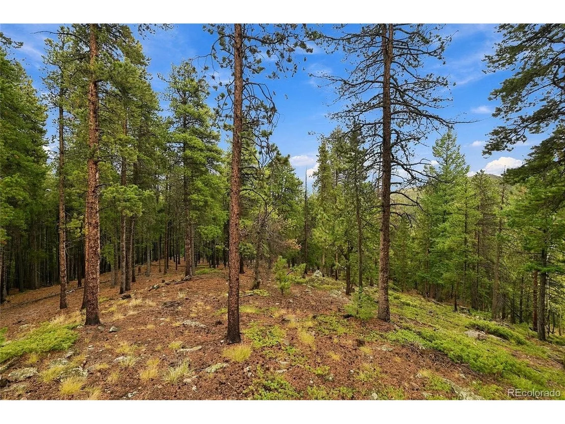 Photo of 889 Lodgepole Dr