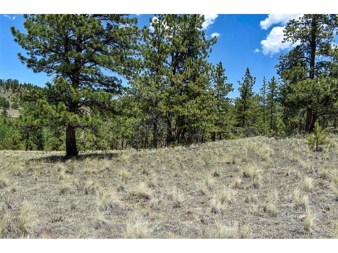 Photo of 4278 County Road 71