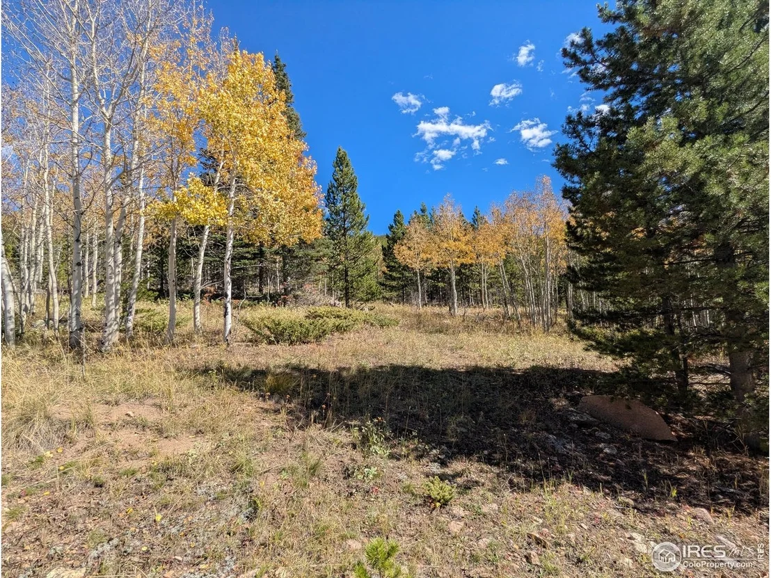 Photo of 2174 Bear Gulch Rd