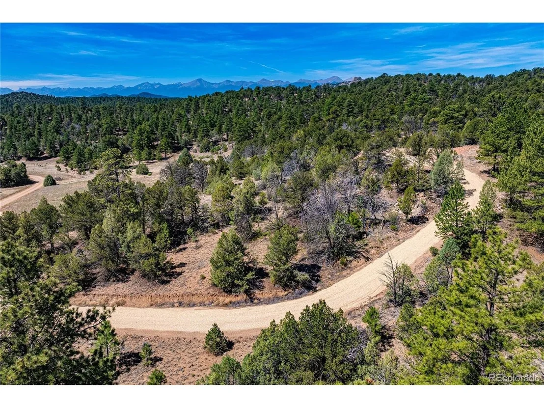 Photo of Arnold Dr