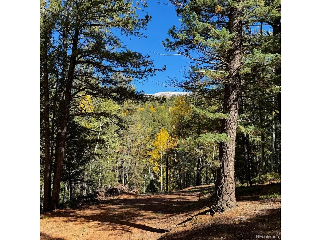 Photo of 800 Timber Ridge Rd