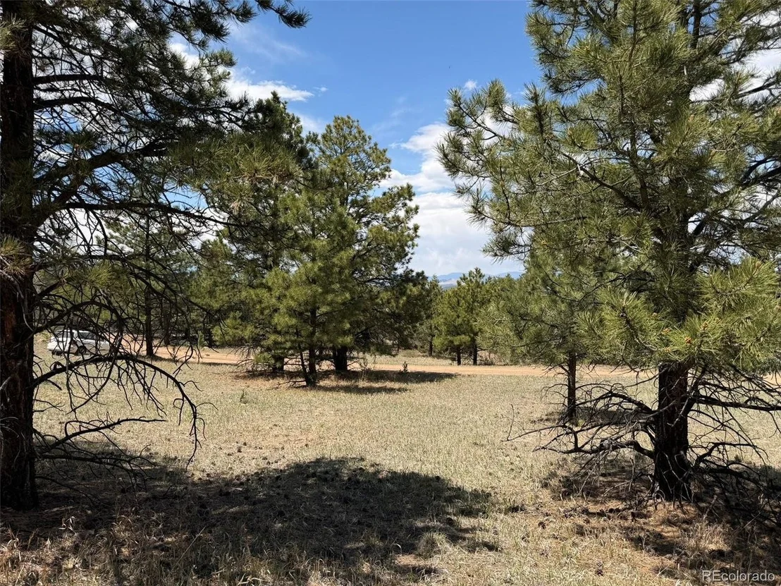 Photo of 477 Bear Peak Rd