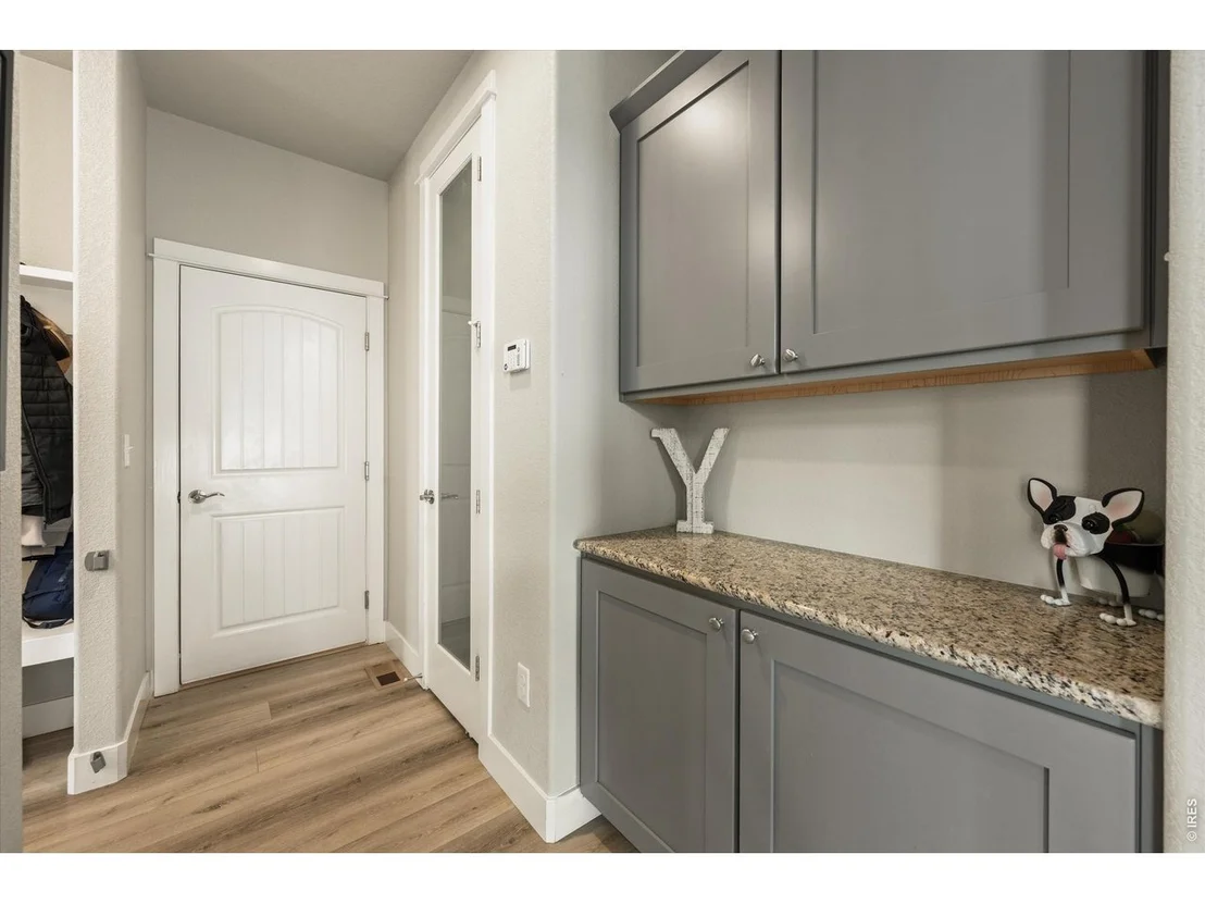 Photo of 479 Mt Belford Dr