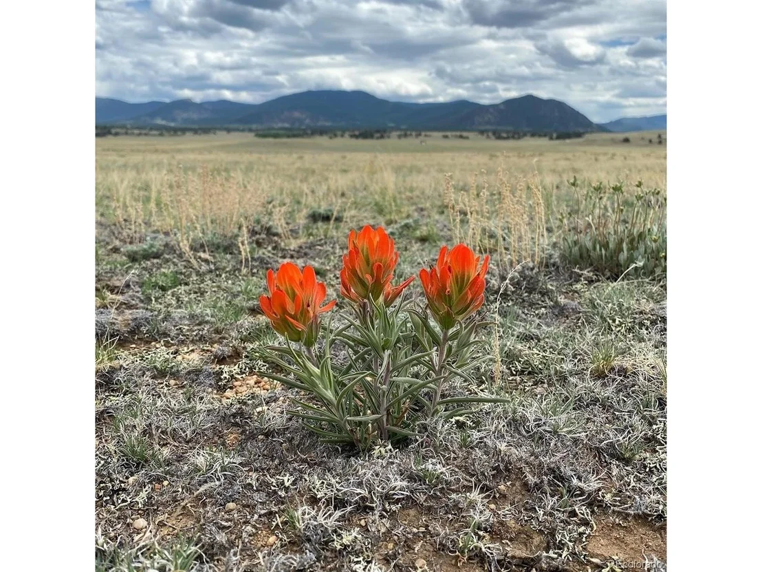 Photo of 878 Cheyenne Trl