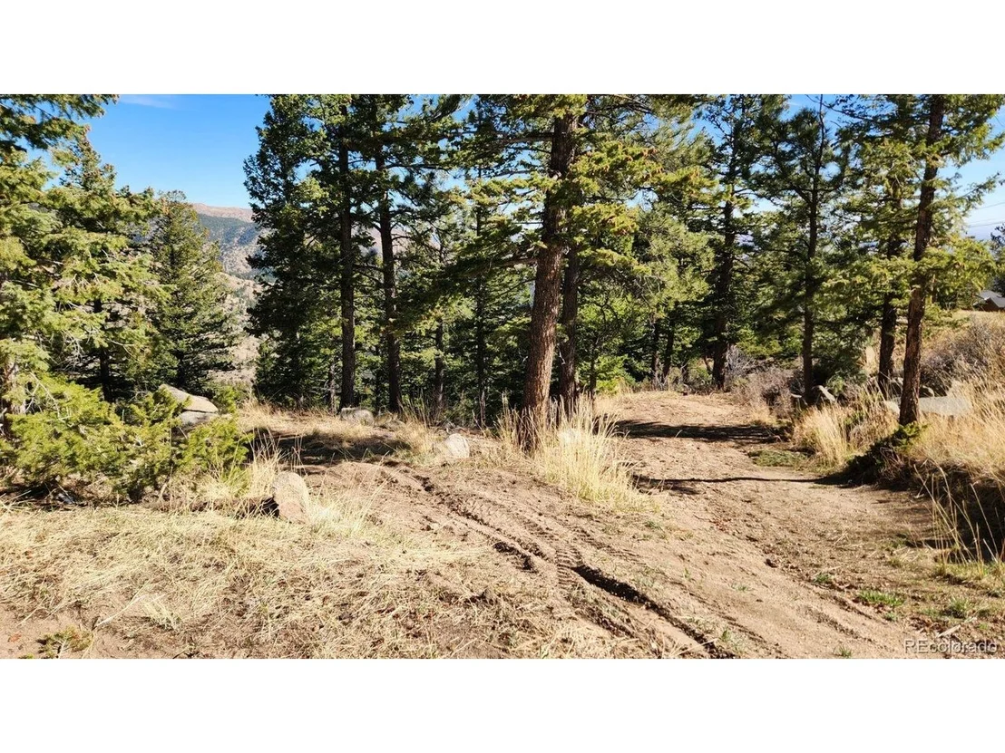 Photo of 347 Deer Trail Cir