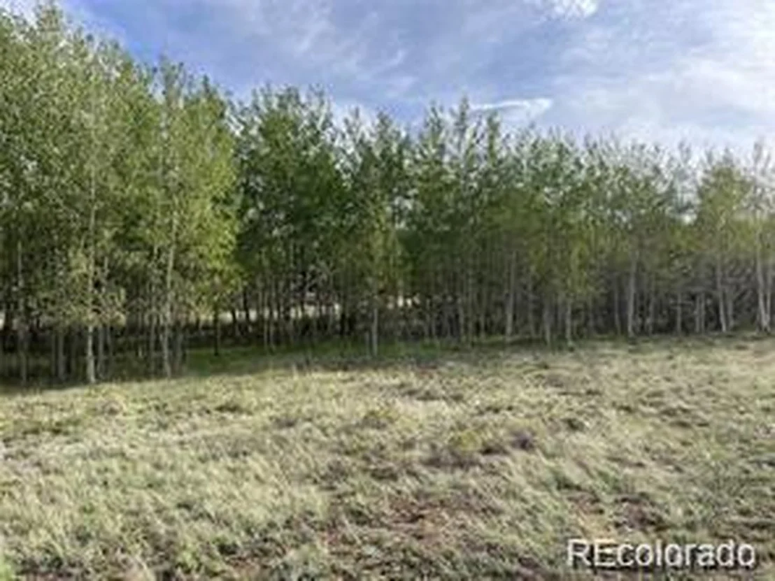 Photo of 1599 Campfire Rd