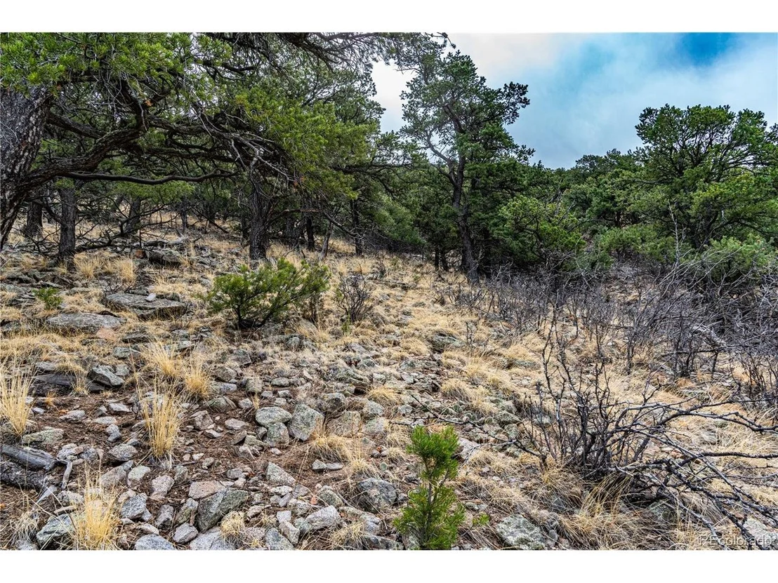 Photo of 2126 E Path