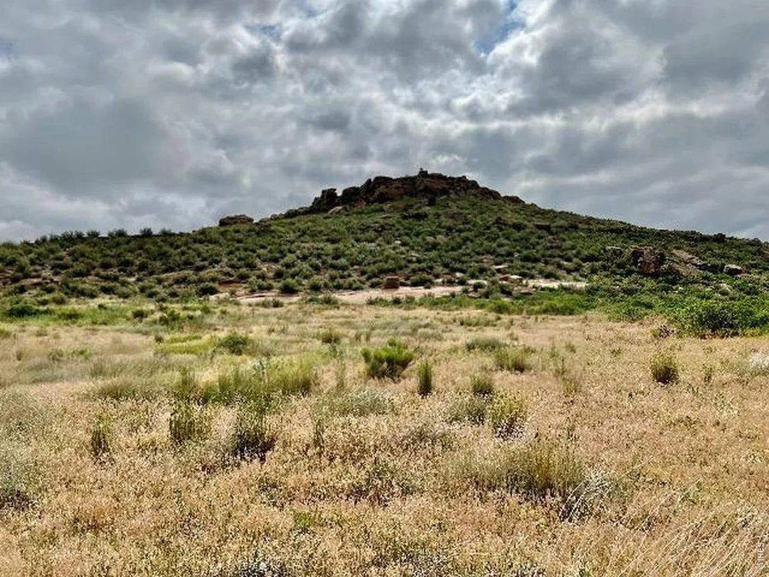 Photo of 4318 Green Mile Dr
