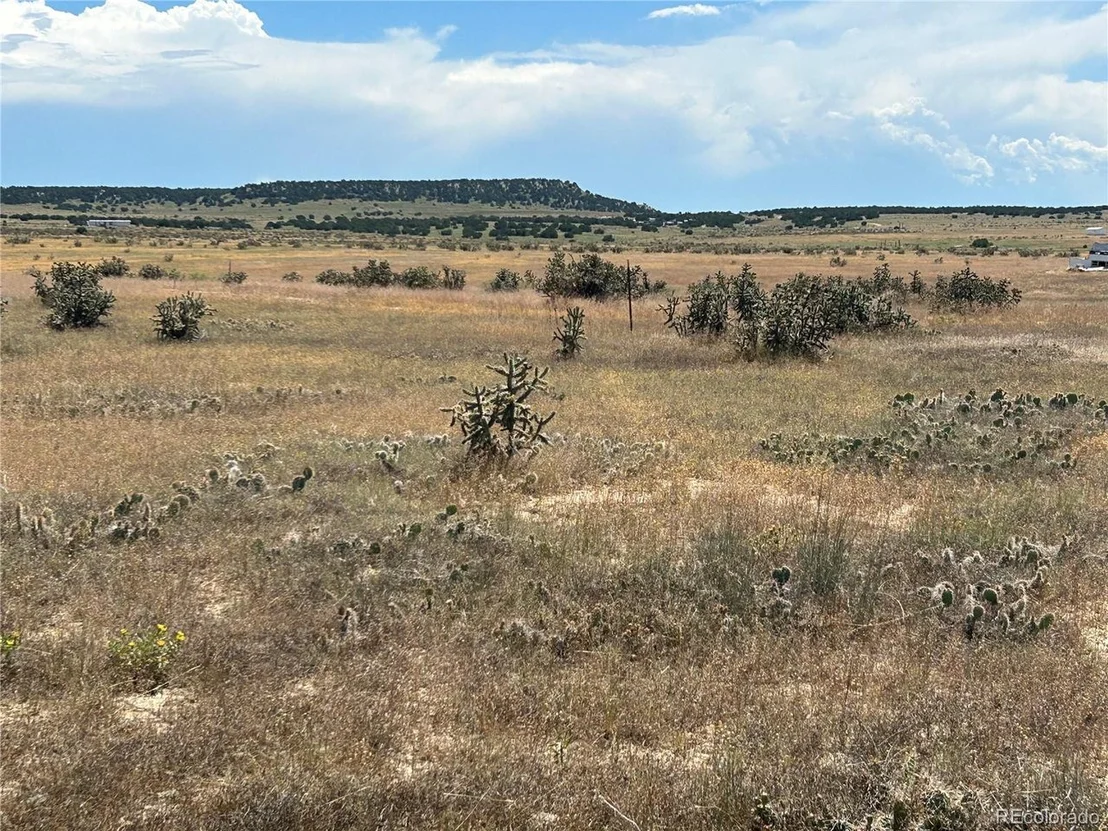 Photo of 4 Outback Ranch