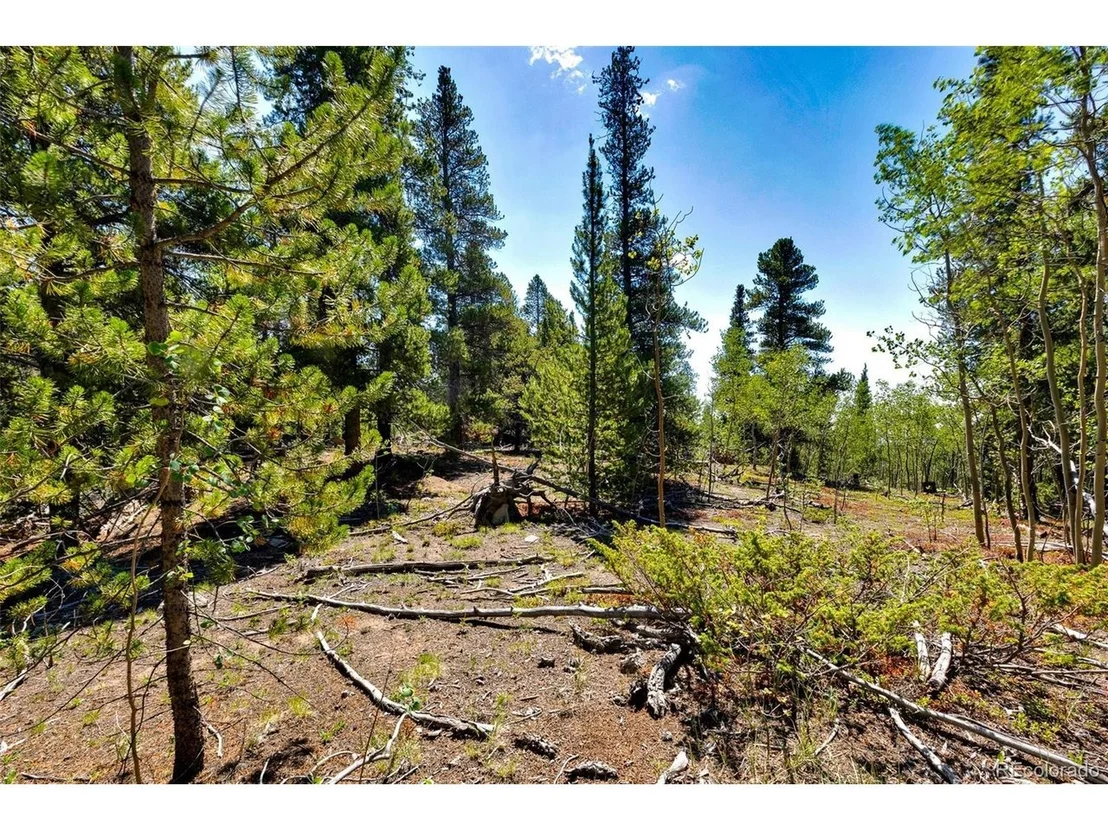 Photo of 497 TEN HIGH Ln