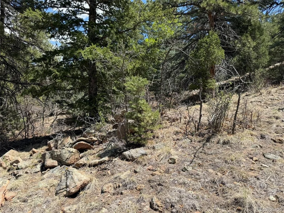 Photo of 477 Bear Peak Rd