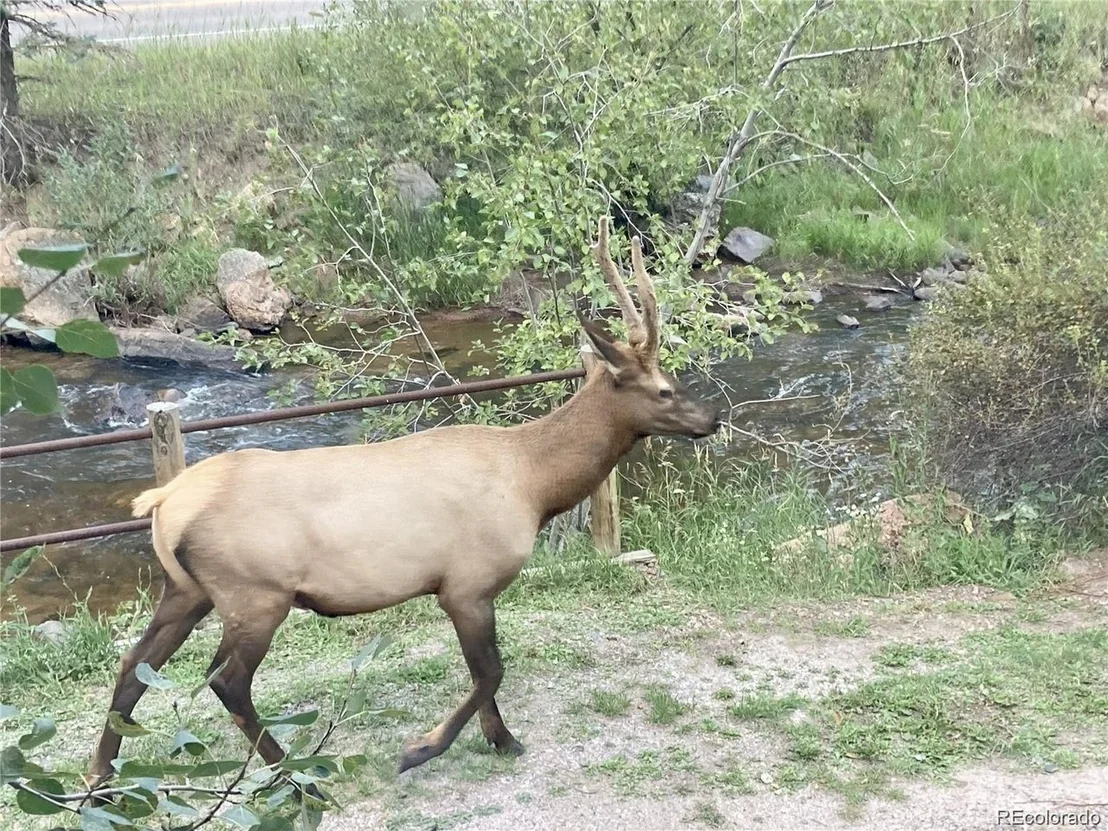 Photo of 27154 Highway 74