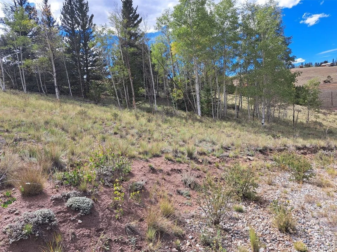 Photo of 736 Stagestop Rd