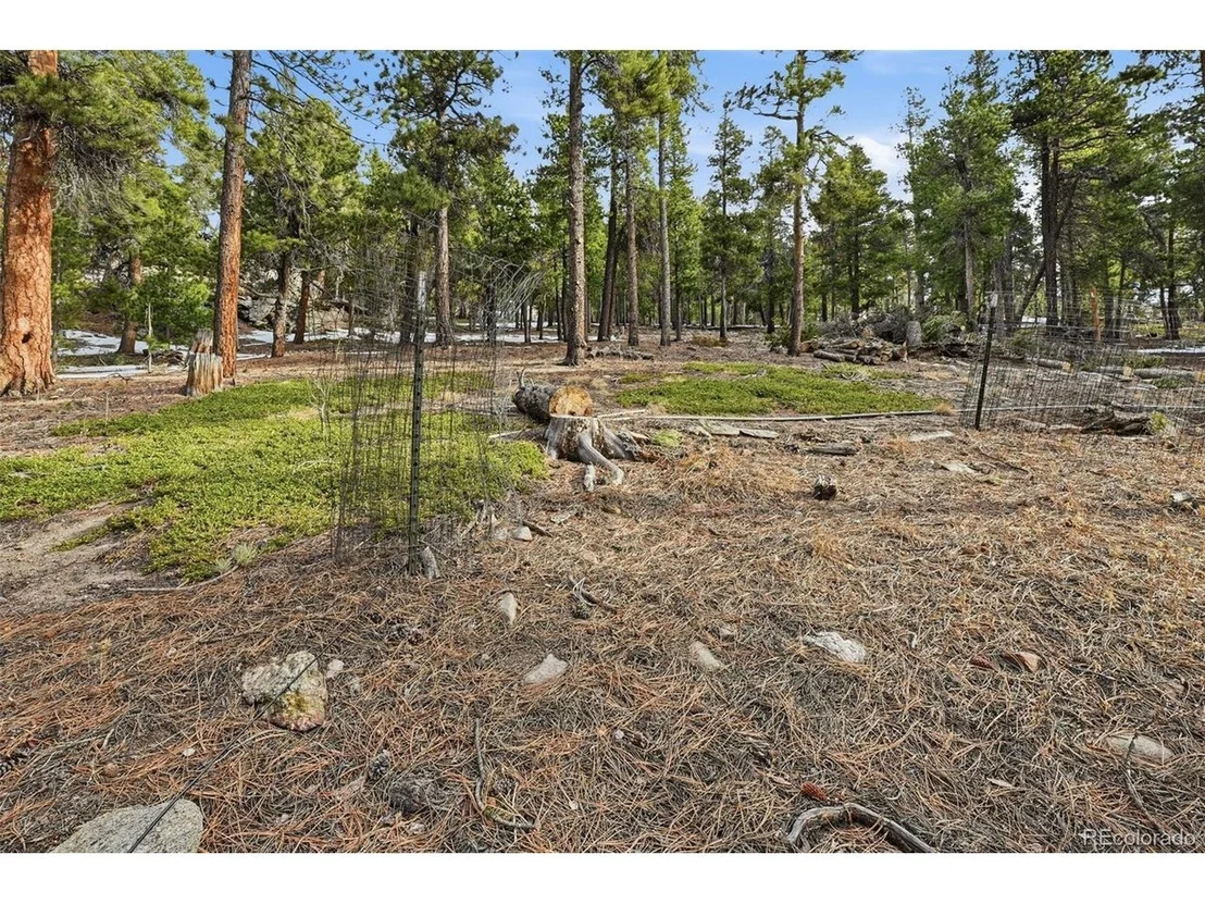 Photo of 34089 Lyttle Dowdle Dr