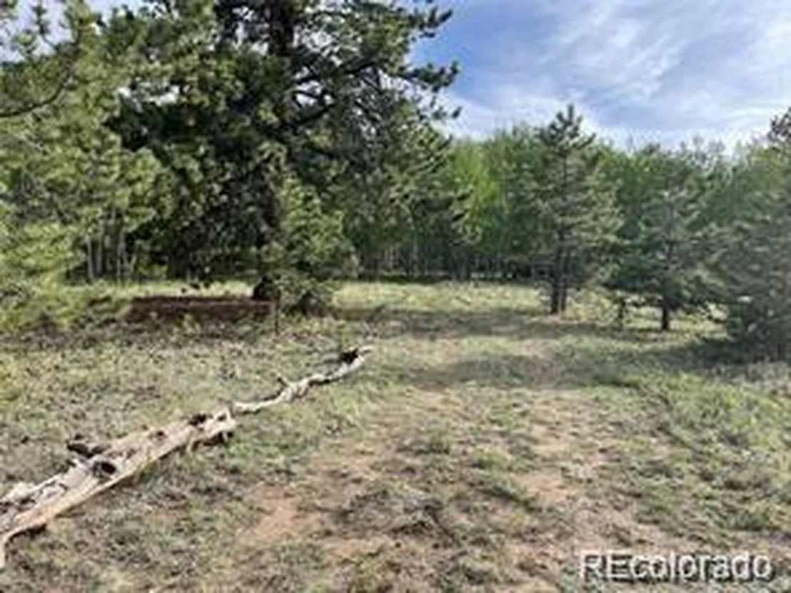Photo of 1599 Campfire Rd