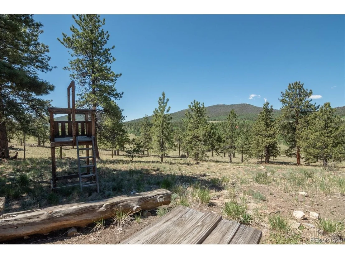 Photo of 3126 Singletree Rd