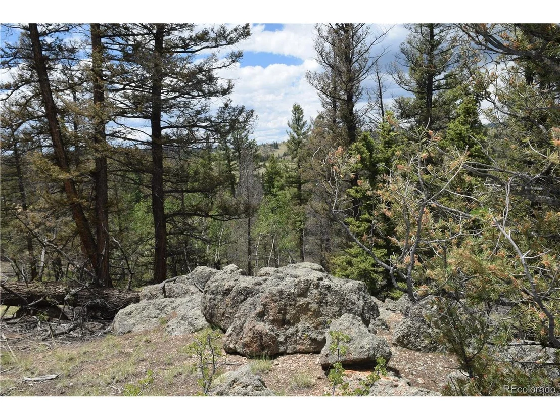 Photo of 156 Spruce Dr