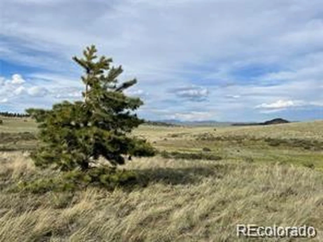 Photo of 1599 Campfire Rd