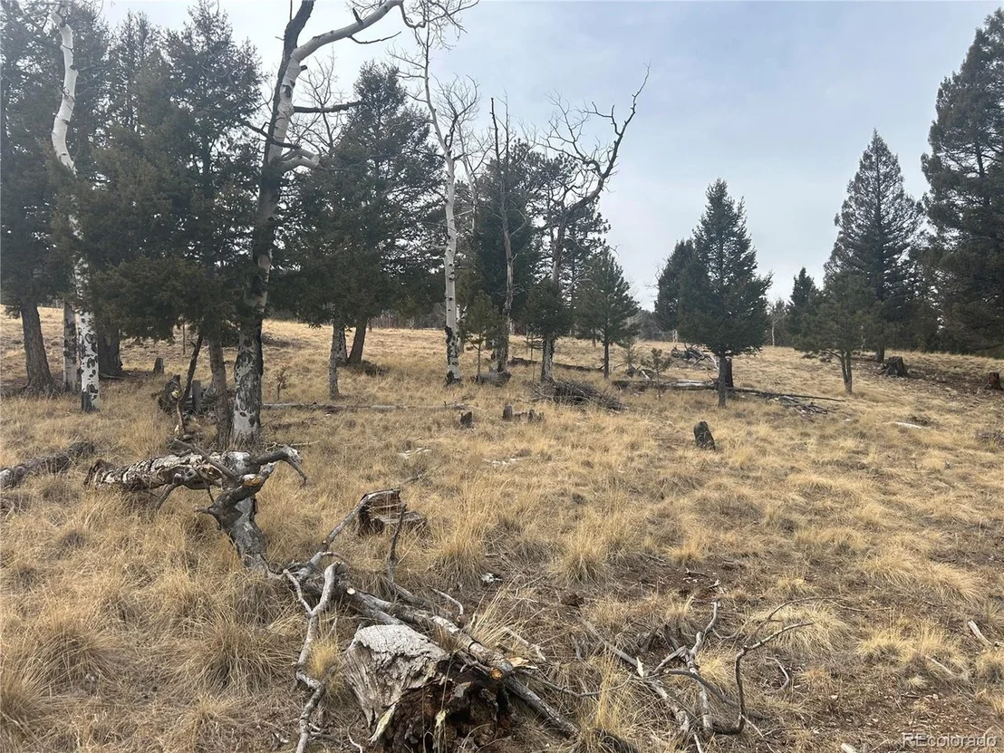 Photo of 1421 Pitchfork Rd