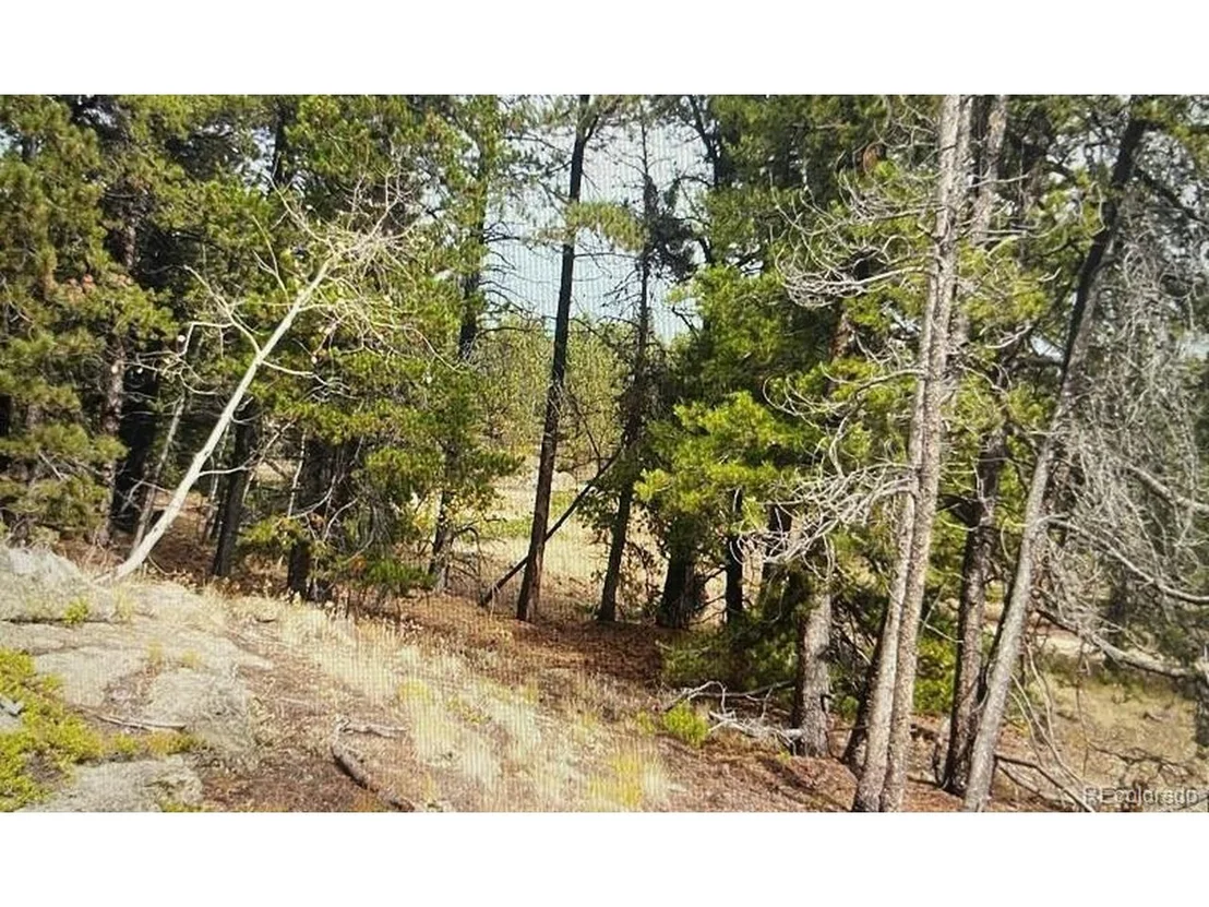 Photo of 275 Bigbee High Rd